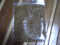 menjual benih alfalfa dan timothy