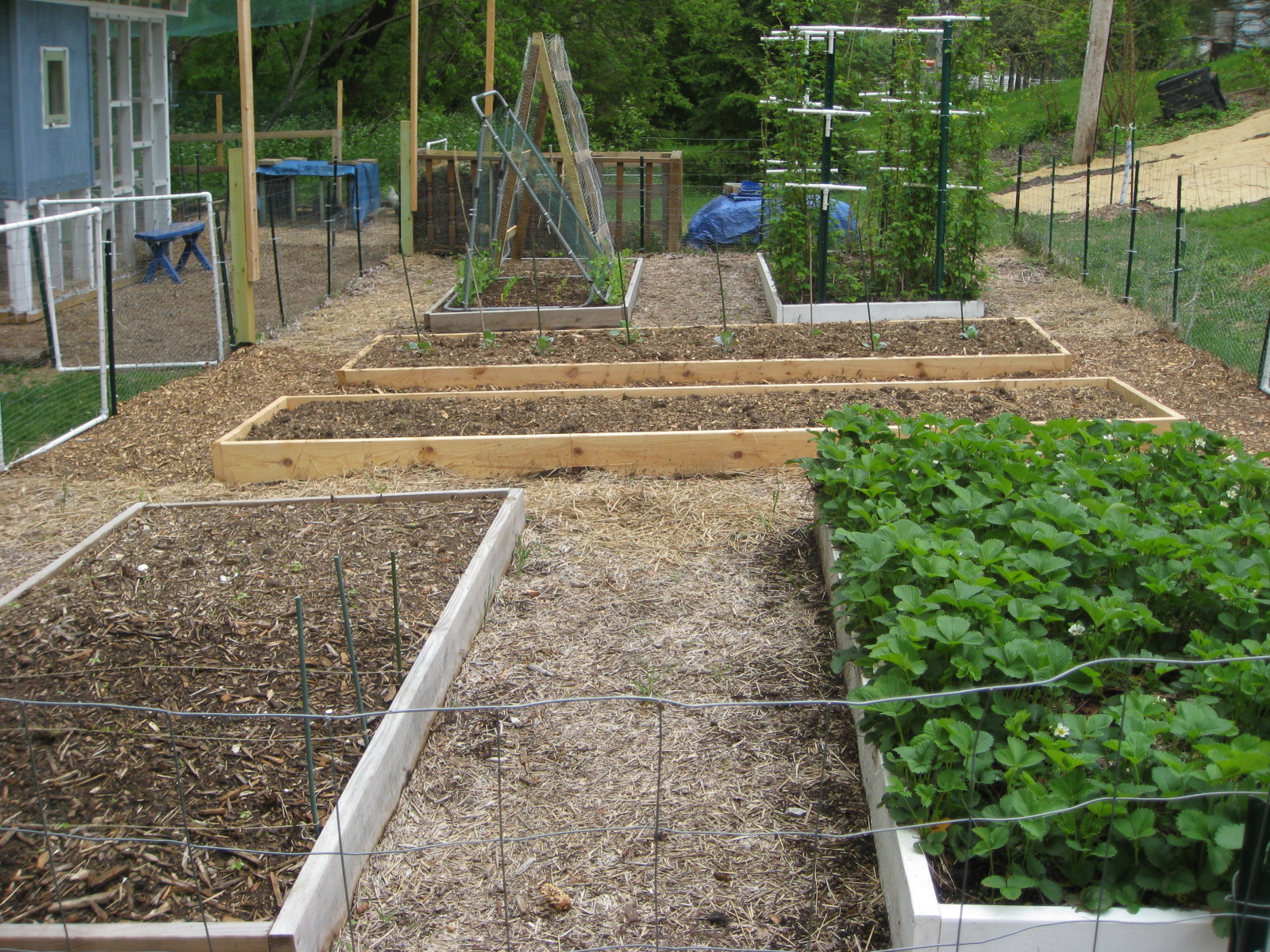 Red Bucket Farm Raised Garden Beds