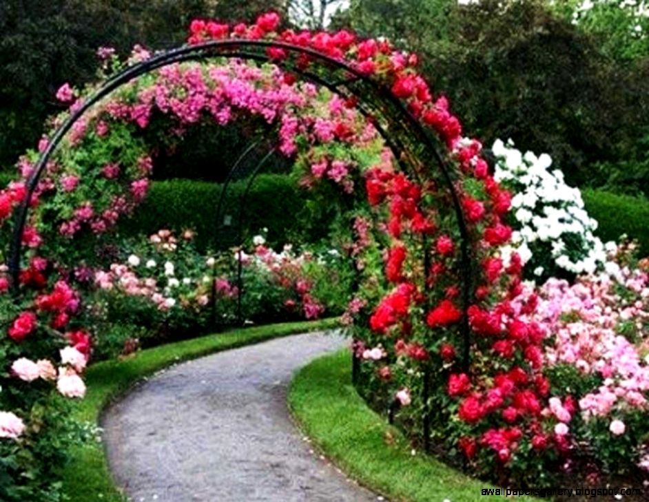 Rose Garden Wallpapers Wallpaper Cave Rose Garden Wallpapers Wallpaper Cave