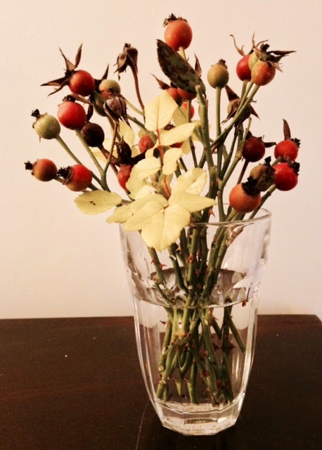 Flower Shows The Answer To Gardening Withdrawal In Winter Blogs