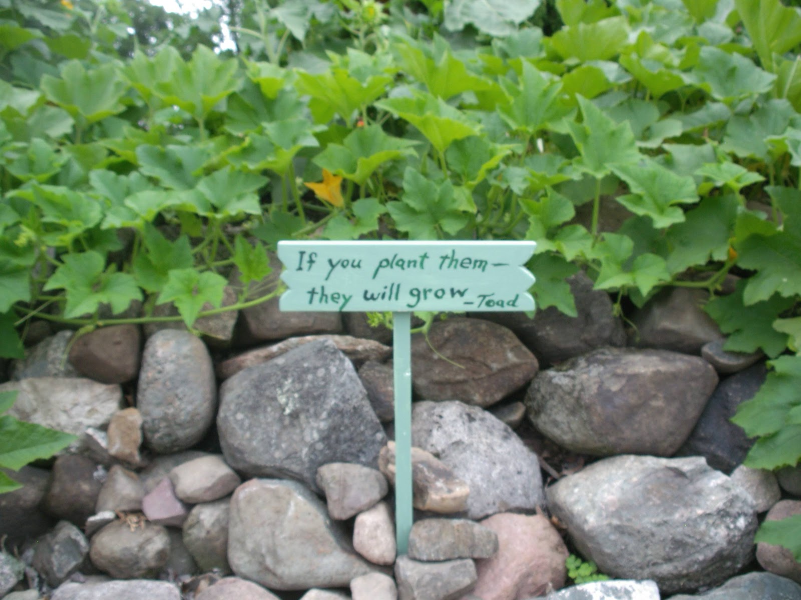 Wandering Wisconsin Toadally Artful