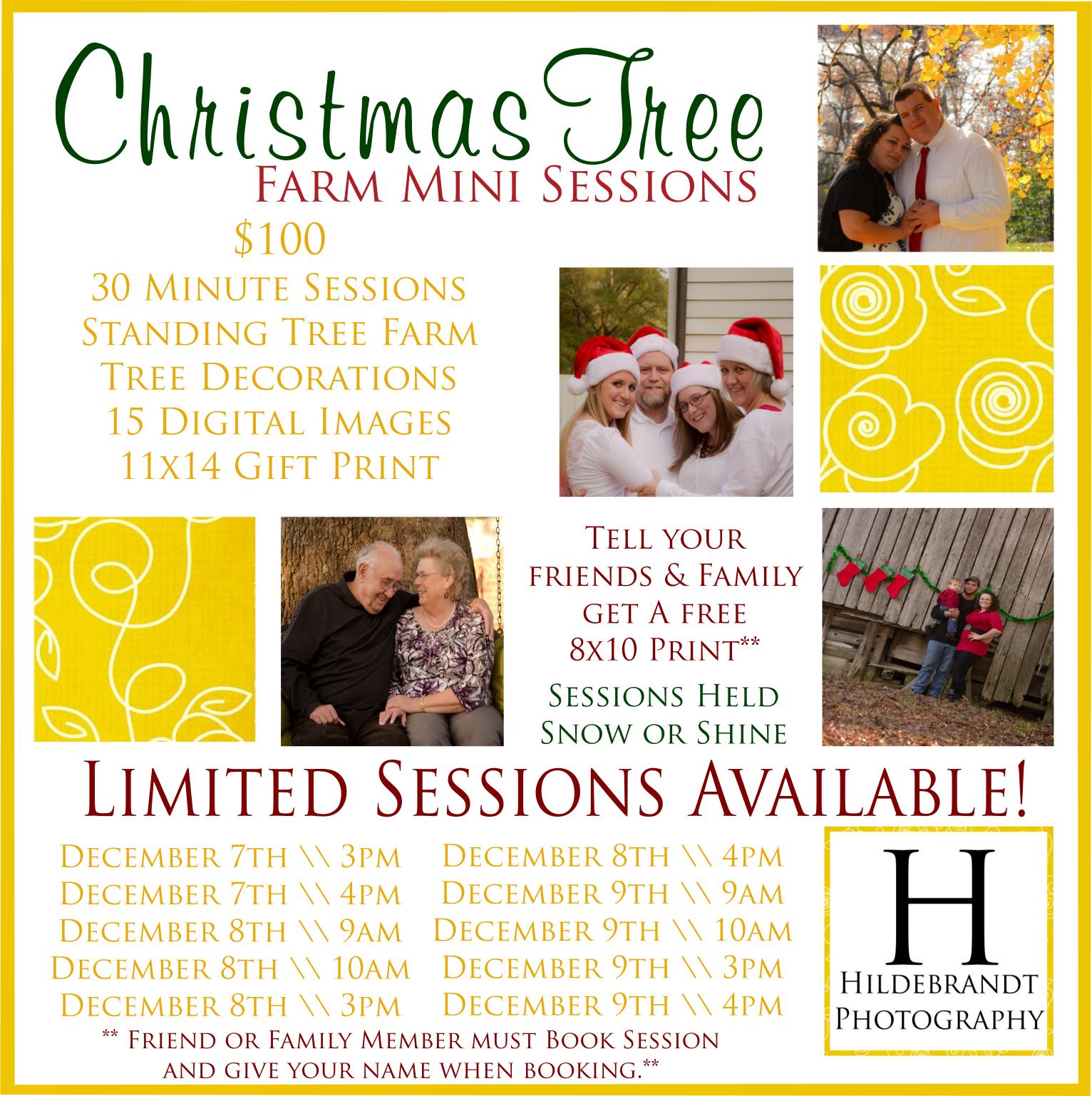 Hildebrandt Photography The Stamey Family \\ Christmas Tree Farm Mini