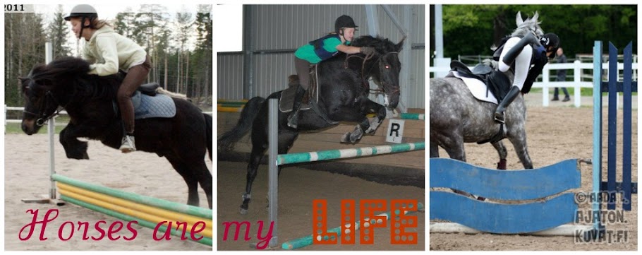 Horses are my life