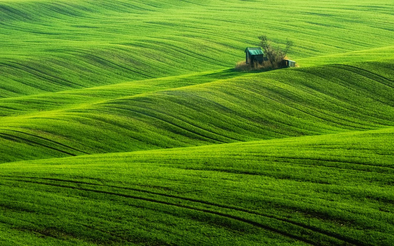 Beautiful Field Wallpapers Most beautiful places in the world Download Free Wallpapers