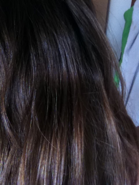 Anatoli Sunrise Diy Ombre Hair Using Sun In Results
