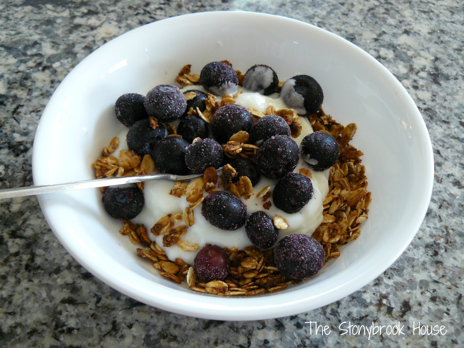 The WORLD’s Best Granola!! The Stonybrook House