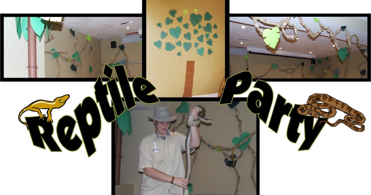 Custom Creations Party Place Reptile Party Decorations