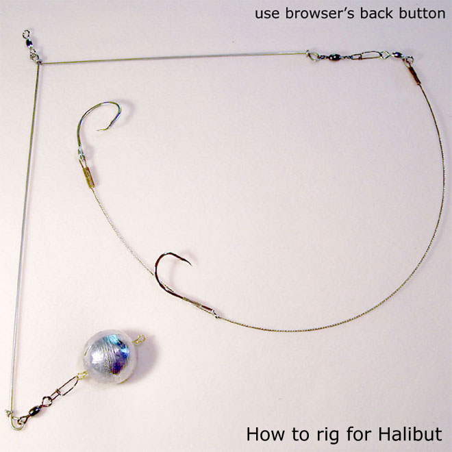 Steve's American Tug News Halibut fishing I have to try this!