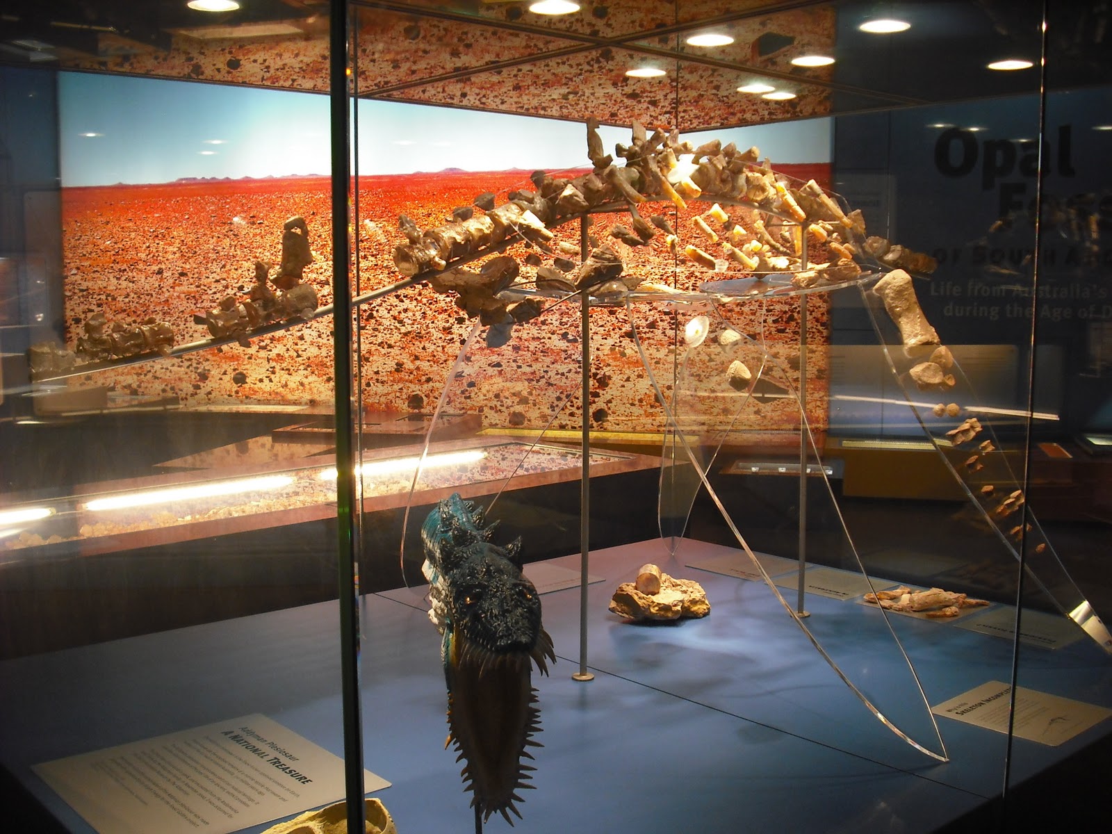 All that glitters the fossils of Lightning Ridge r/australia