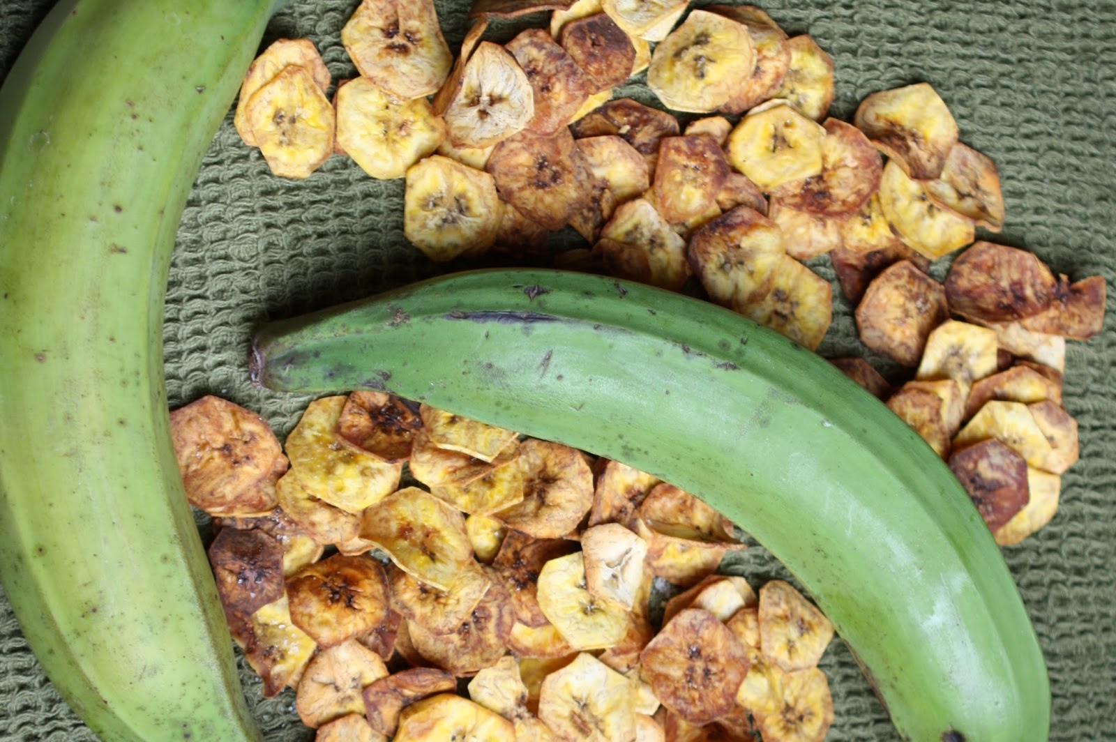 Oven Baked Plantain Chips (AIP, Paleo, Vegan) Don't Eat the Spatula