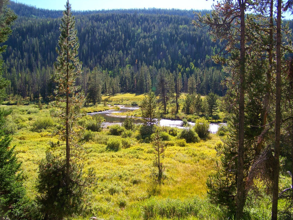 Runaway Bridal Planner Christmas Meadows, Utah High Uinta Mountains