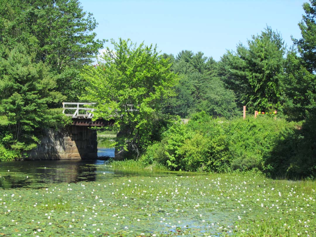A Visible Voice Clark's Pond, Auburn, NH