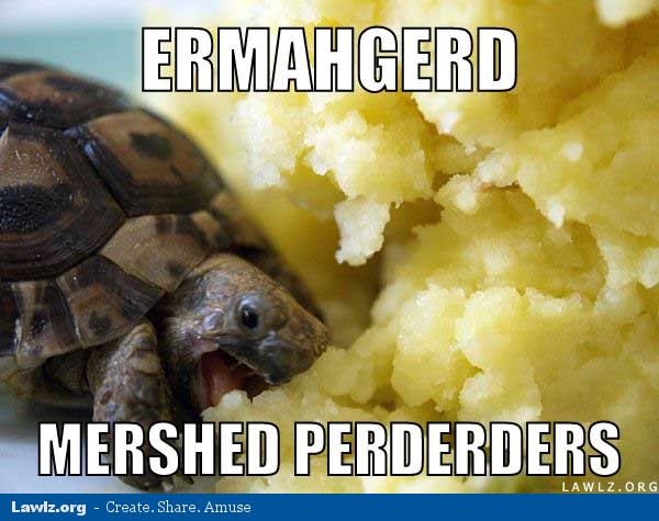 turtle-meme-ermahgerd-mershed-perderders-eating-mashed-potatoes.jpg
