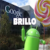  Penemuan baru Google Android OS disebut Brillo