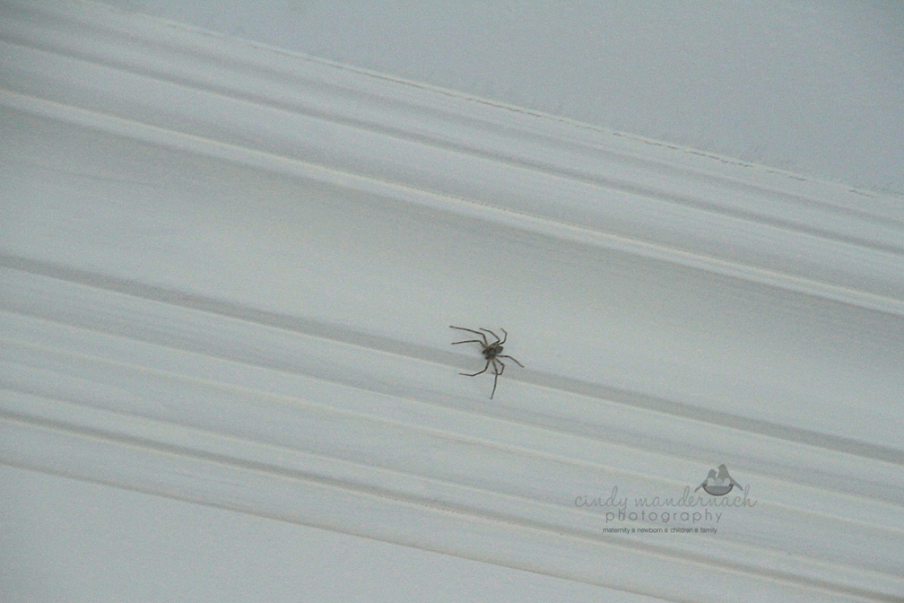 Cameras And Chaos 2012