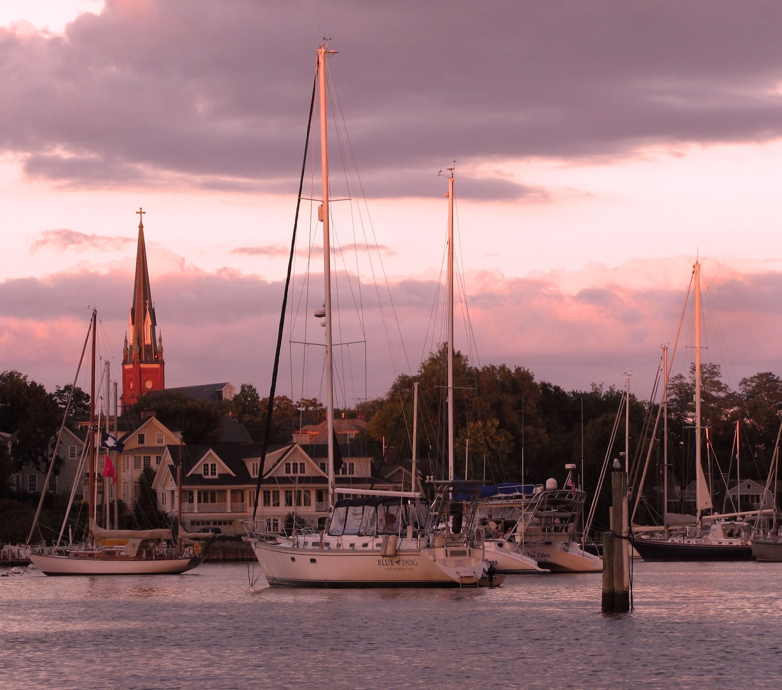 Top 93+ Pictures Pictures Of Annapolis Maryland Updated