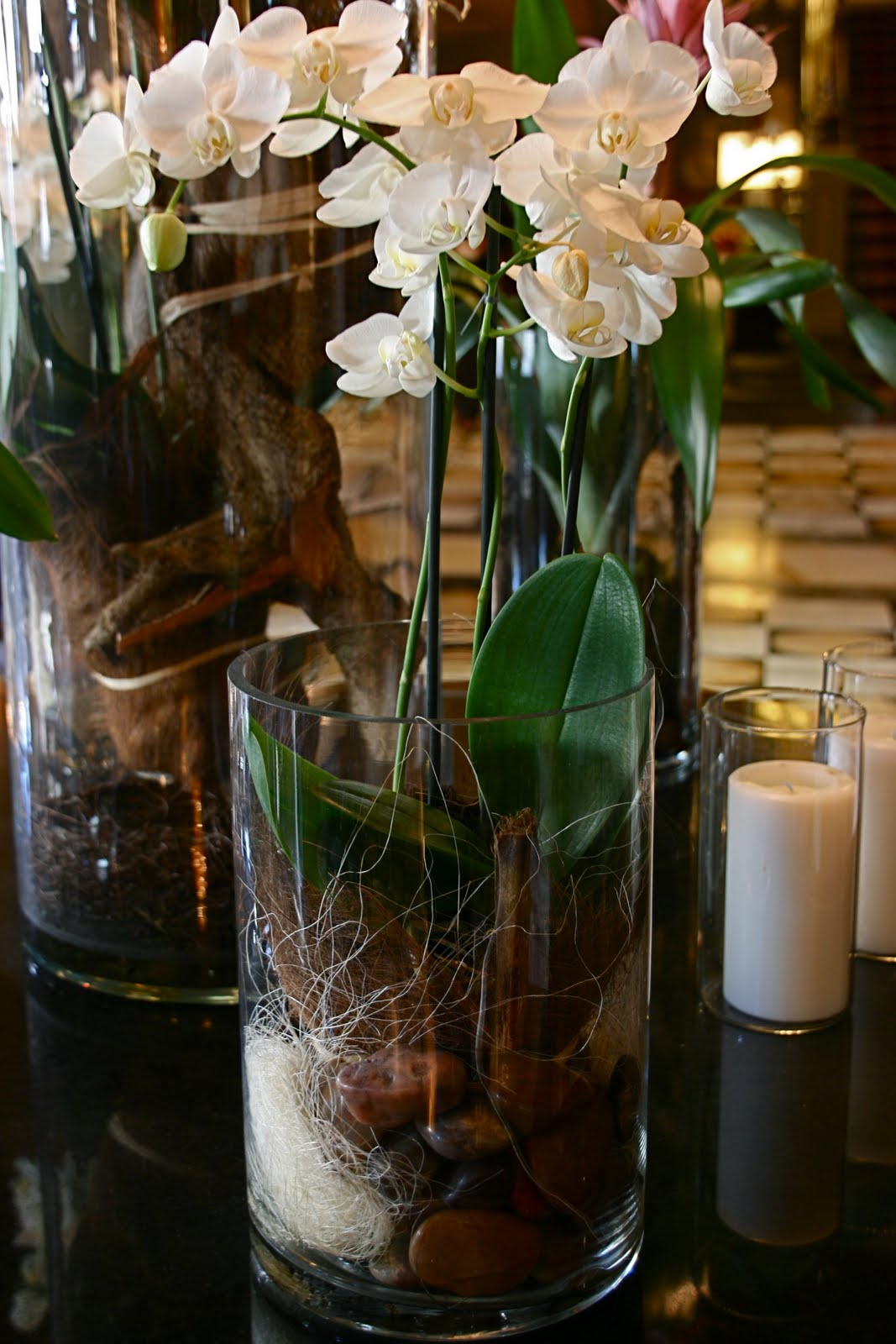 design Tuesday Inspiration Cylinder Vase Arrangements