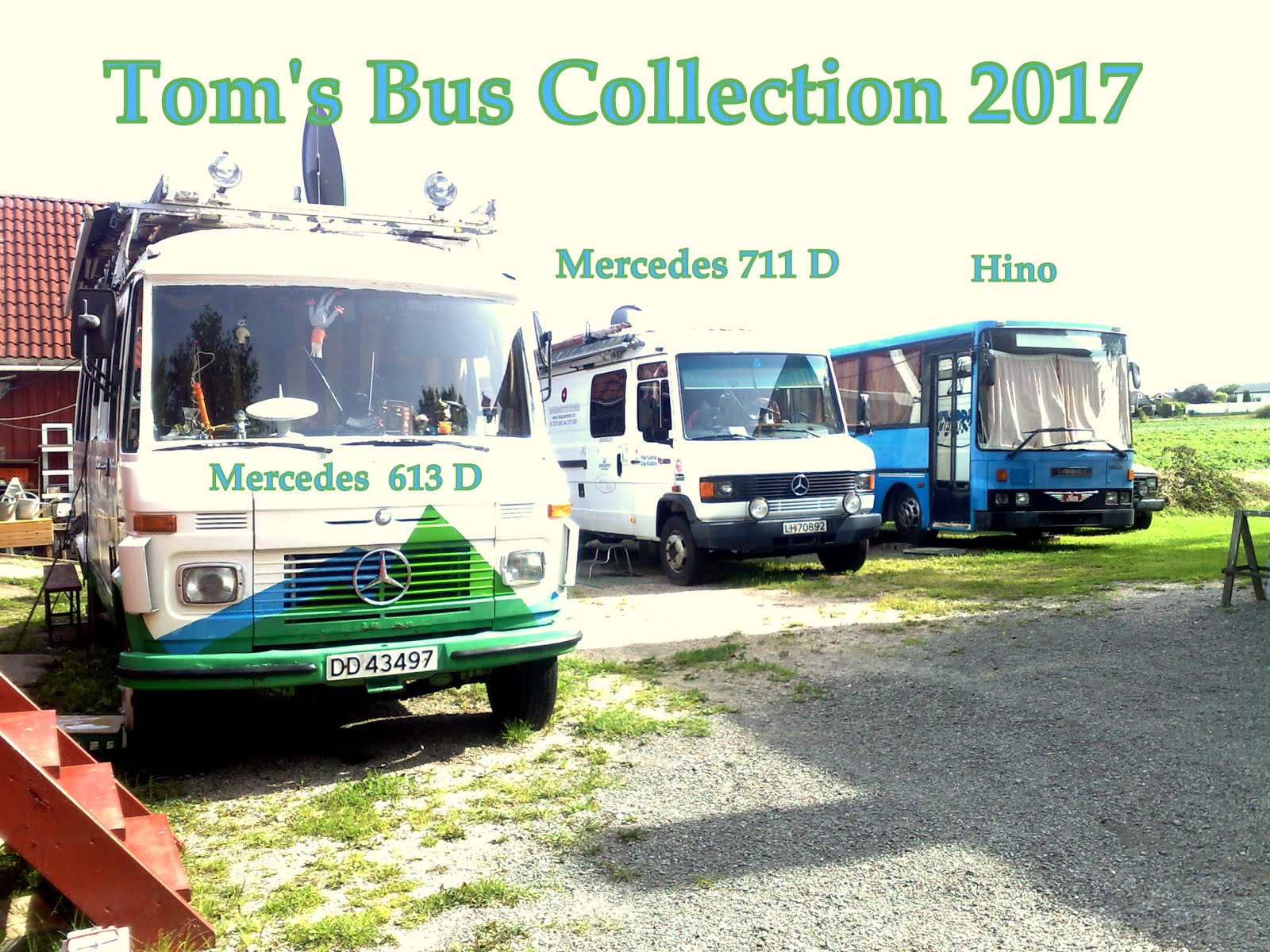TOM's BUS COLLECTION
