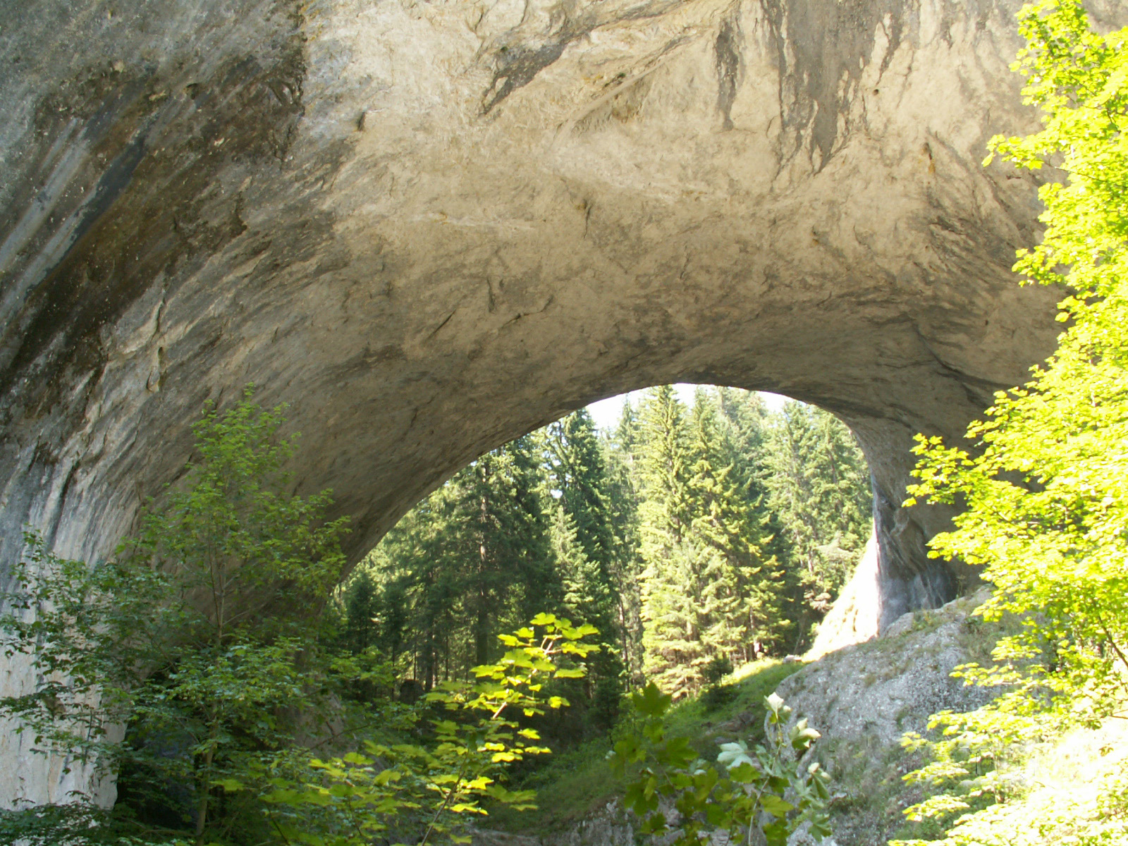 S Sheki Po Pteki Chudnite Mostove