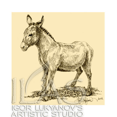 Donkey Drawing