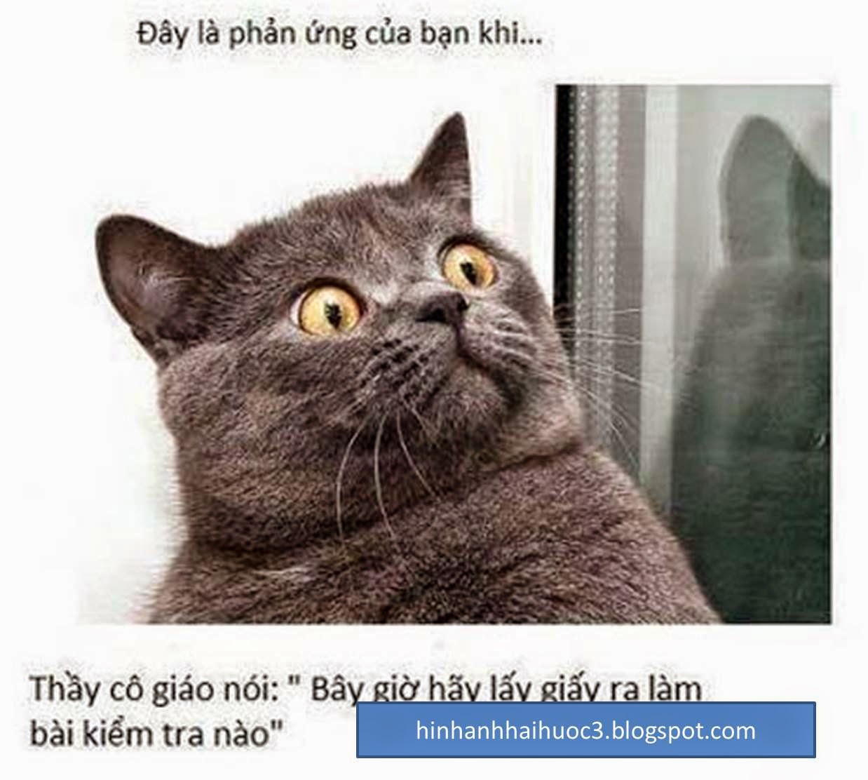 Hình ảnh có liên quan