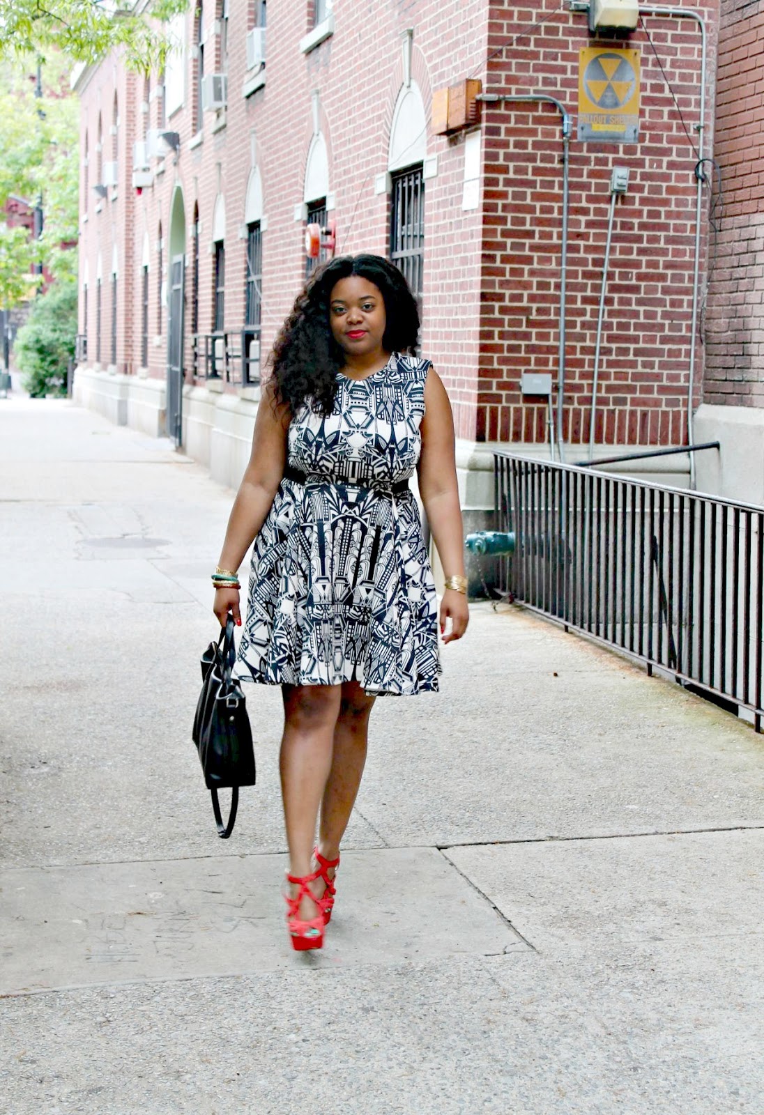 Chautauqua Countys Top Dog Grooming Salon