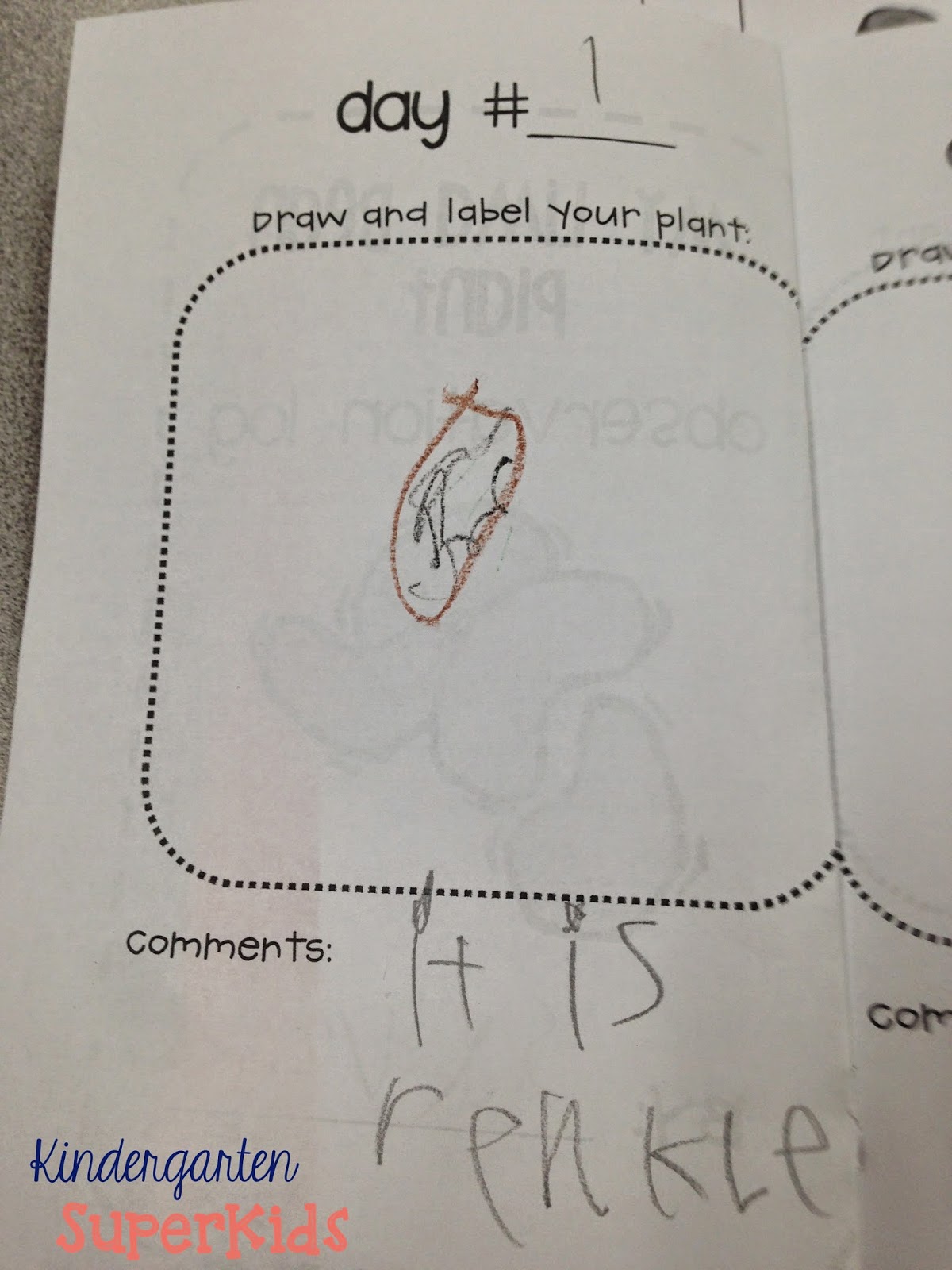 Kindergarten SuperKids Lima Bean Love!