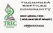 TUGUMUDA REPTILES COMMUNITY