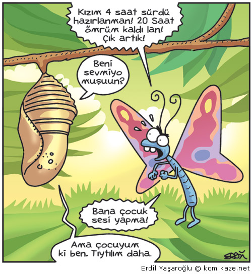 ayva yediren kiz blogger