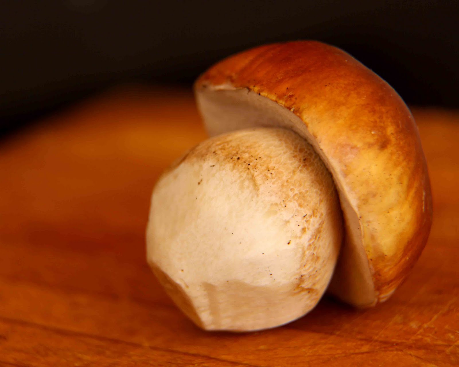 Stalking Porcini Or How Mushrooms Caused Me to Engage in All Seven