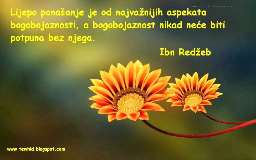 Citati Lijepo ponašanje&hellip;