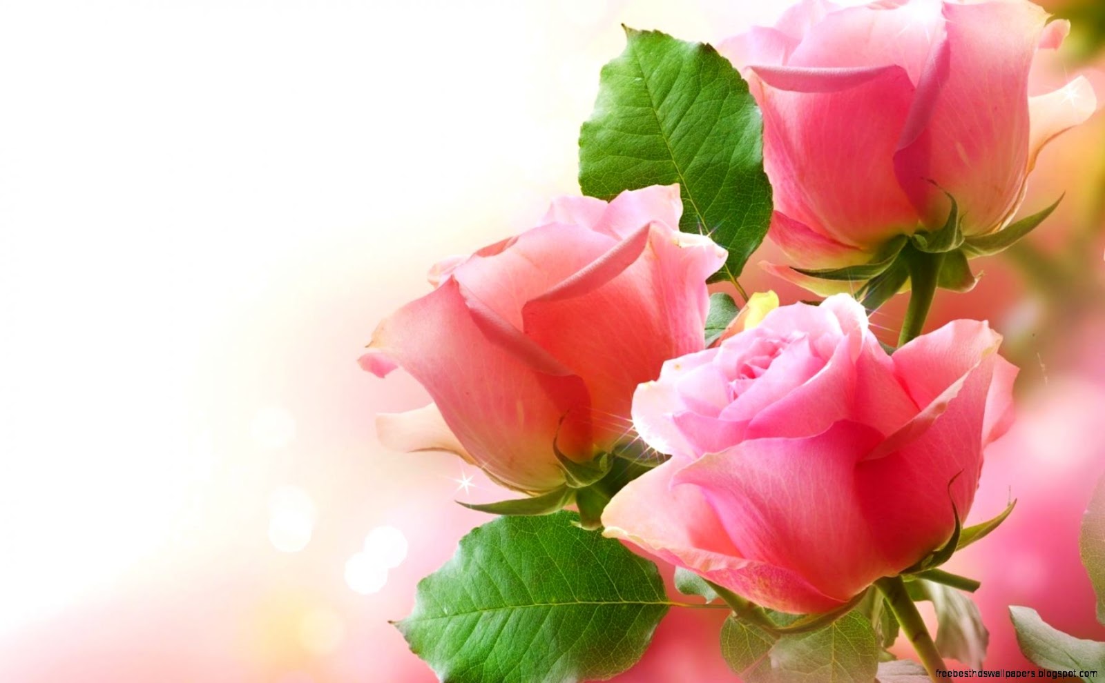 Pretty Pink Rose Desktop Background Pretty Pink Rose Desktop Background