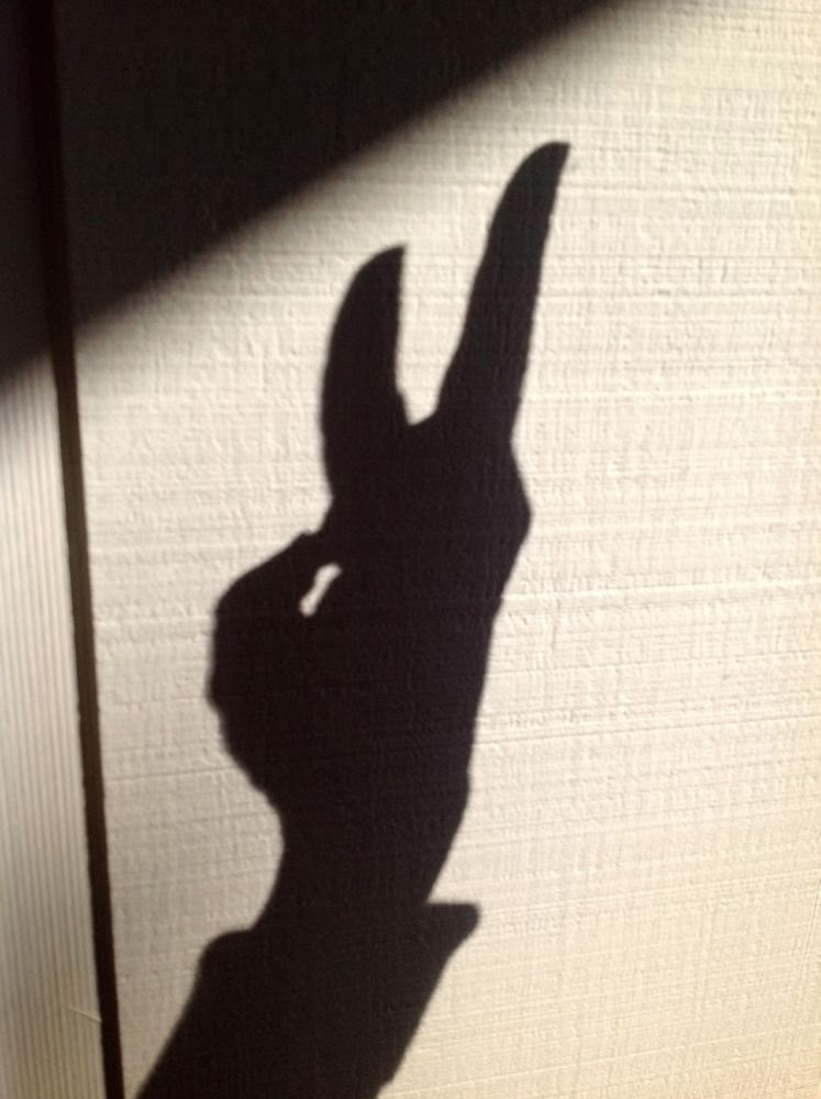 Dishy News - A Transferware Blog: THE RABBIT ON THE WALL