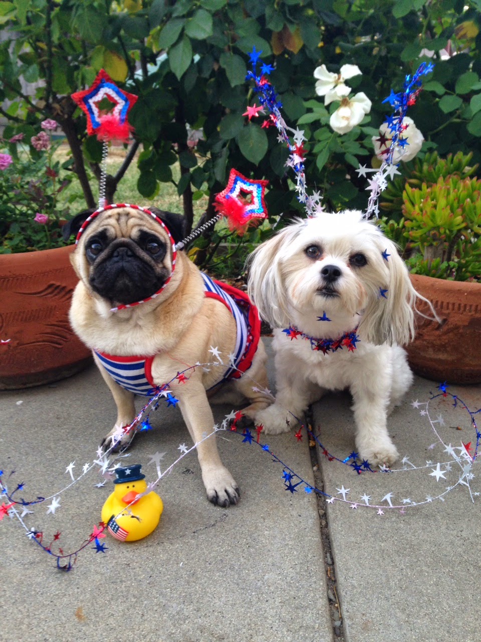 A Bowl of Noodles© Memorial Memorandum