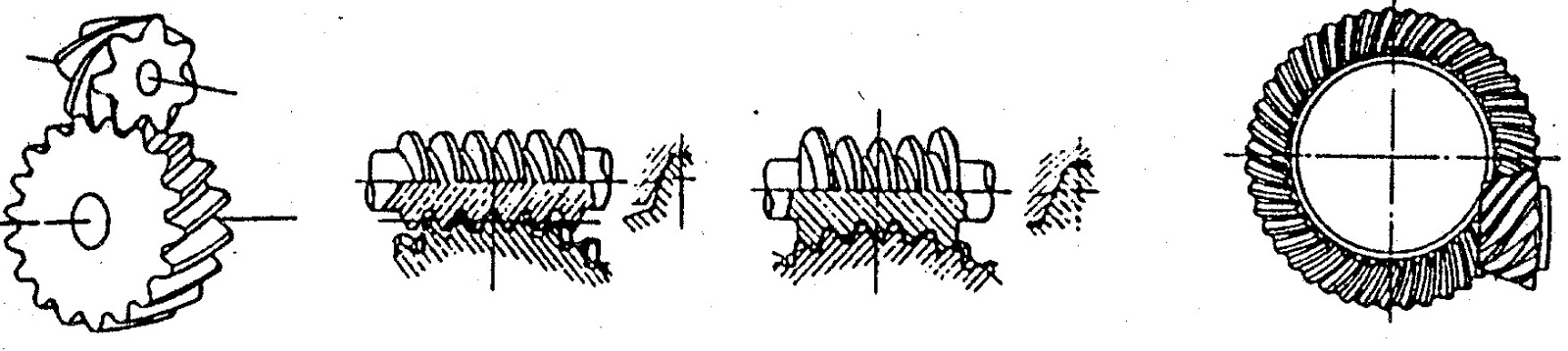 WHM Berawal dari Kejujuran KLASIFIKASI RODA GIGI