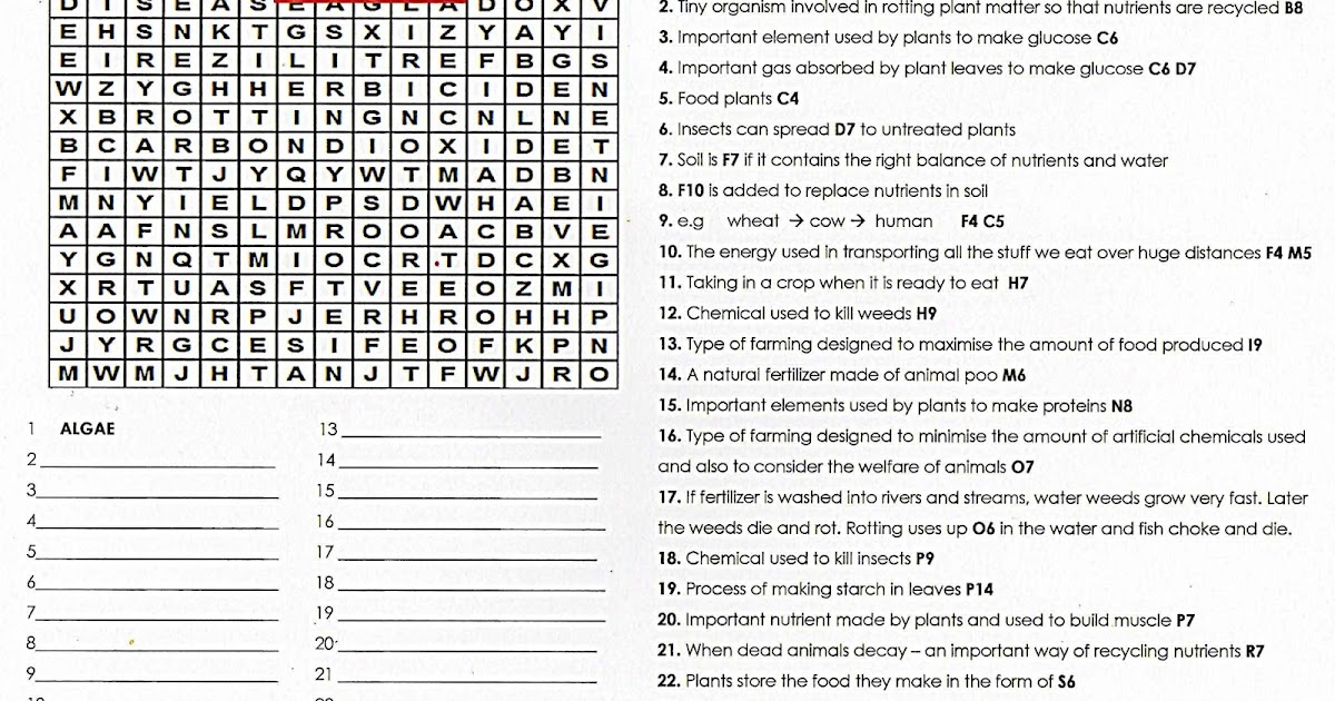 Science Puzzles : 100+ Free Science Worksheets: QUIZ WORDSEARCH - Food