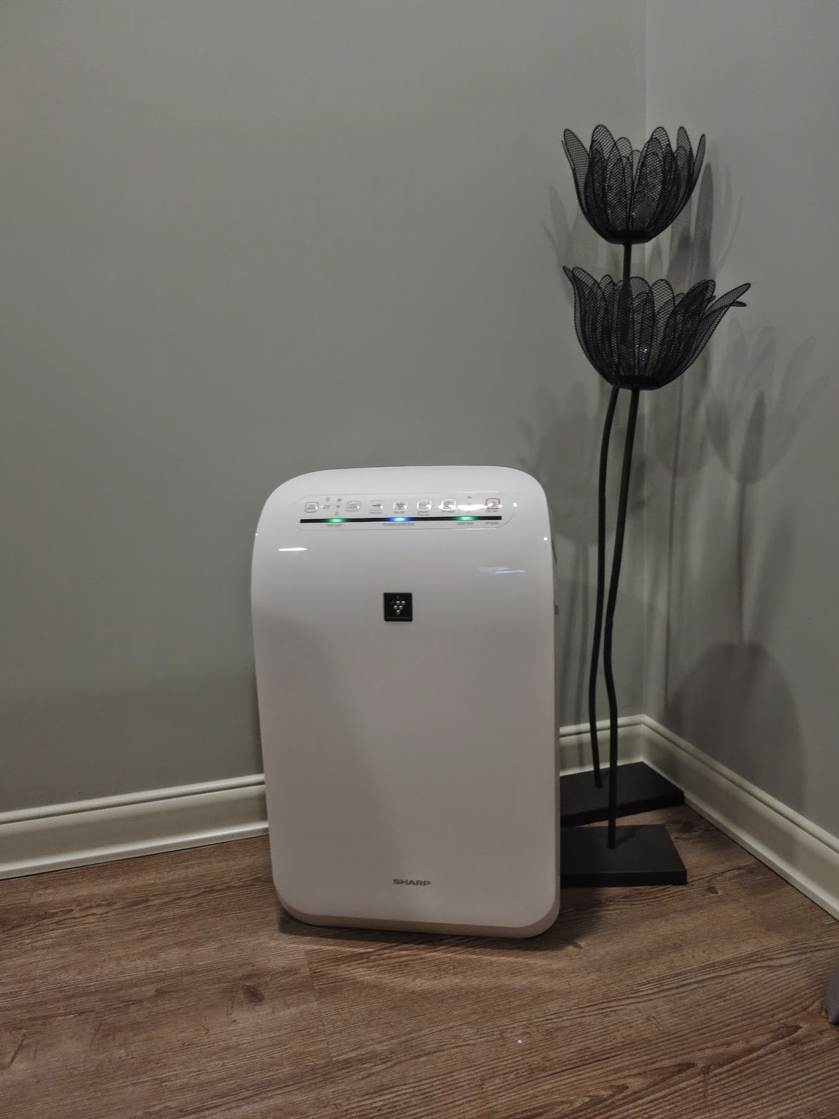 Maria Elena Sharp Plasmacluster Air Purifier Review