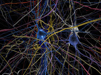 neurones dysgraphie