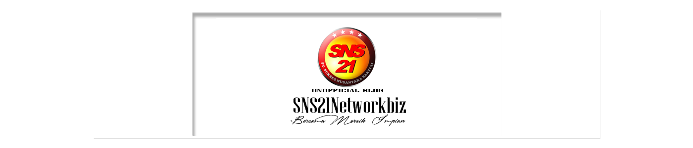 SNS21NetworkBiz
