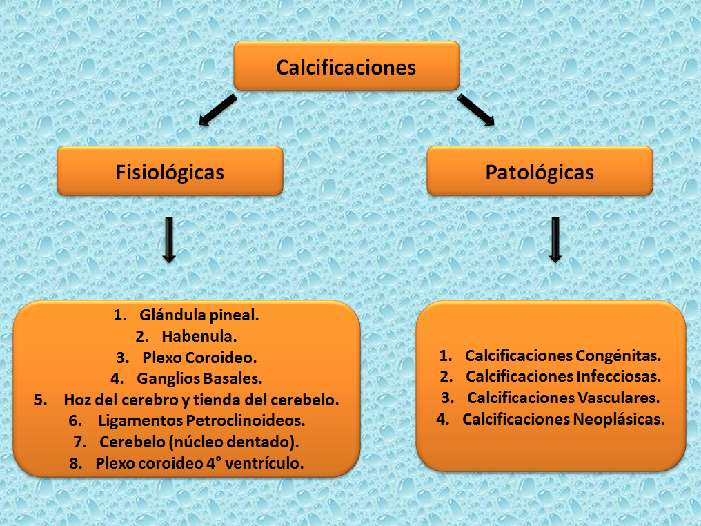 Planeta dos Macacos - Cinema e Pipoca