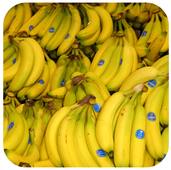 rounded corner photo of bananas with a transparent background rounded corner photo of bananas with a transparent background