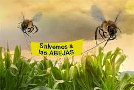 Nuestras abejas en peligro