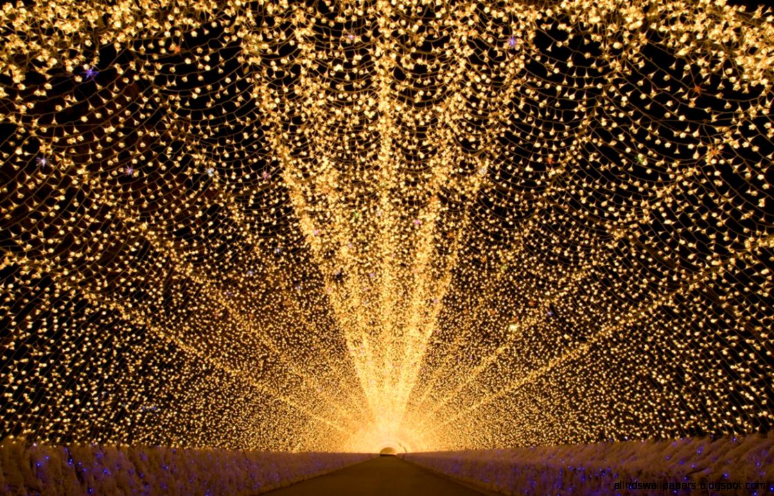 Great nature ‹ Japan Today Japan News and Discussion Great nature ‹ Japan Today Japan News and Discussion