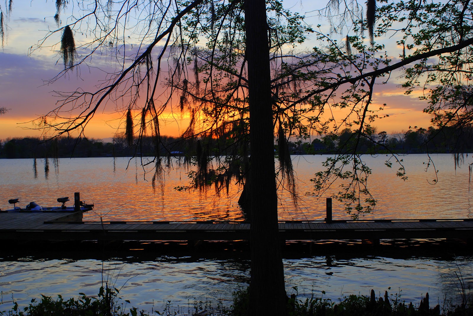 The Gypsy Boho Freedom Express LAKE BRUIN STATE PARK ST. JOSEPH, LA