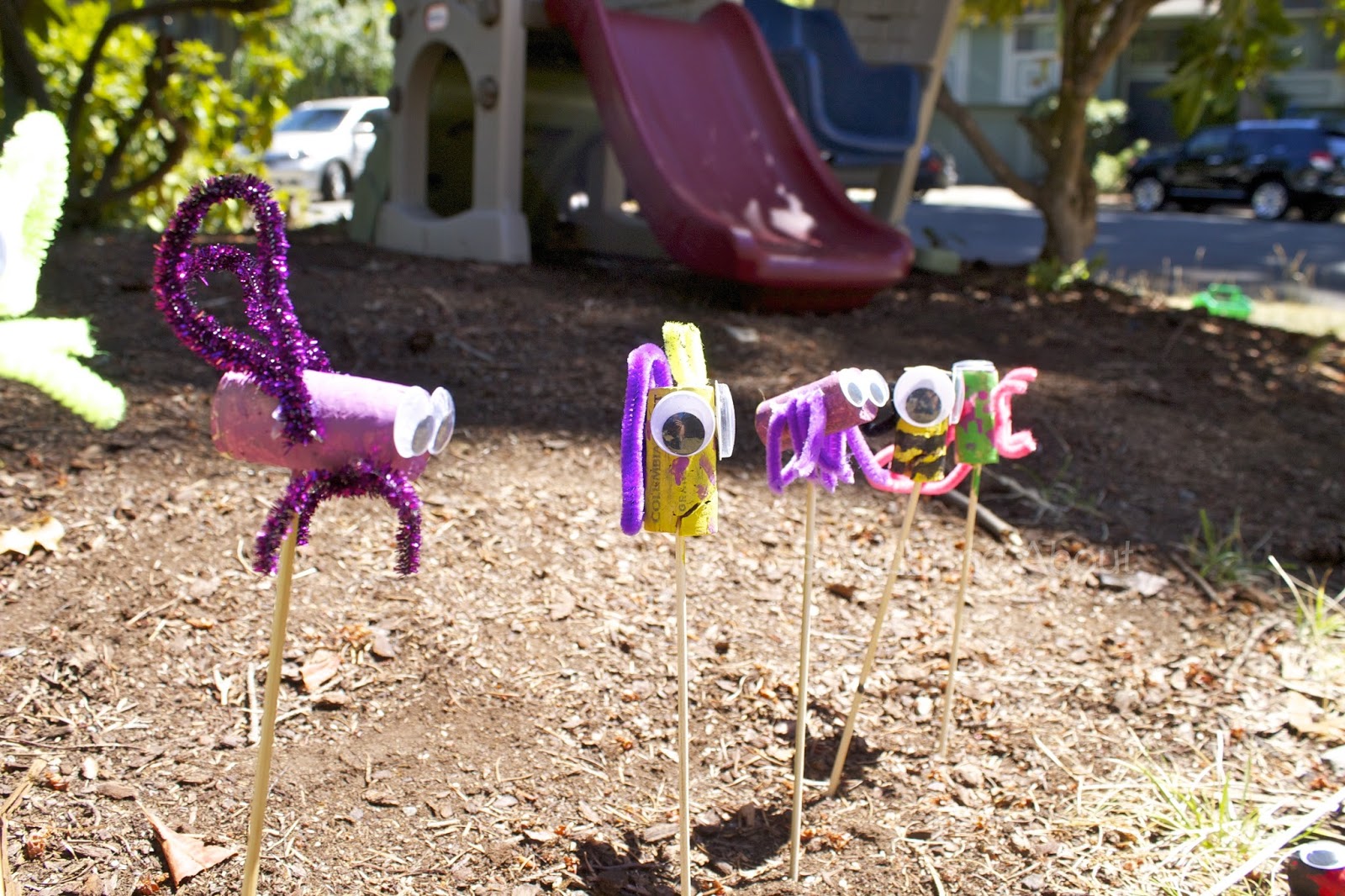 Sowdering About Garden Cork Bugs