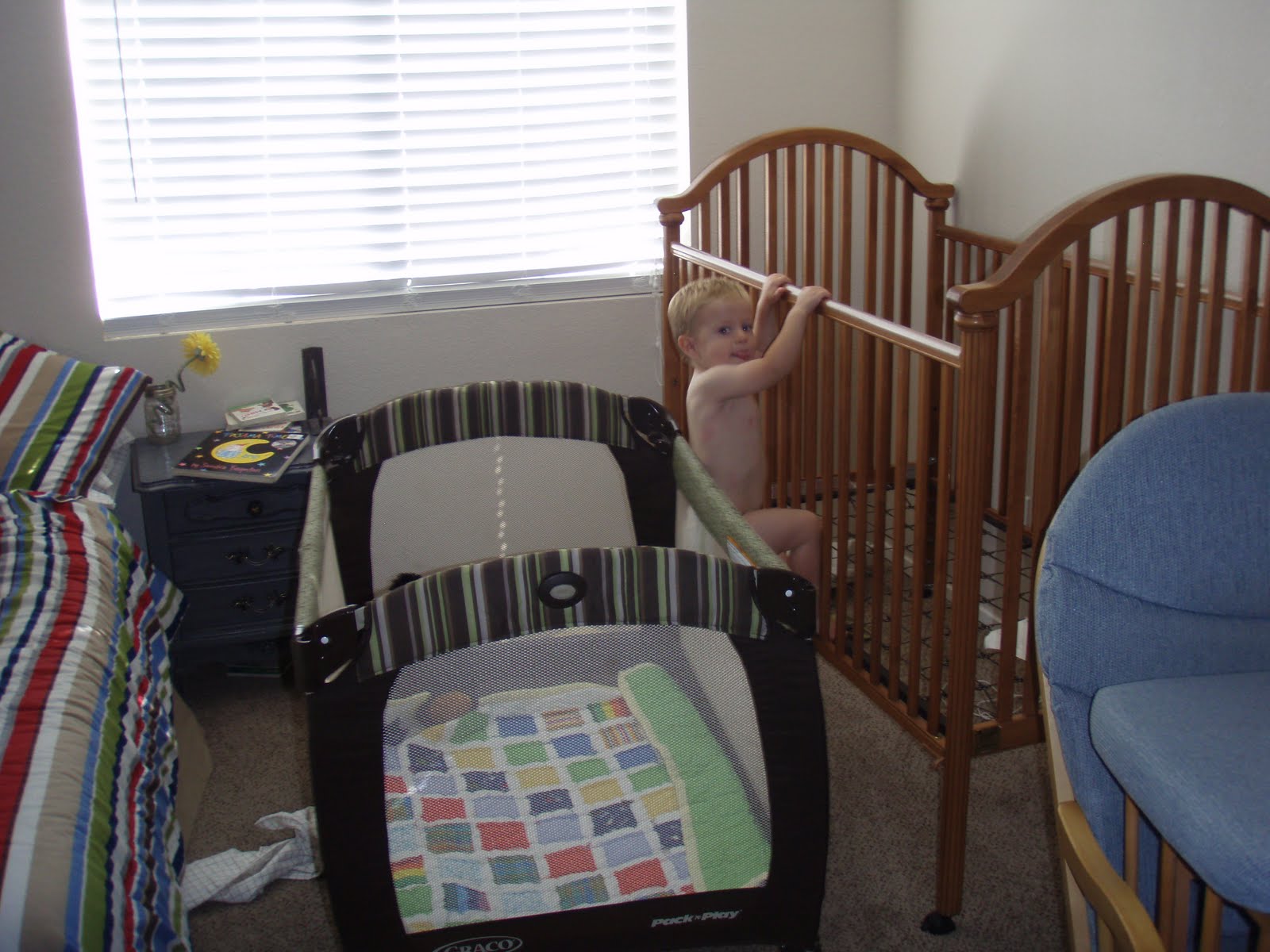 wilko baby gate