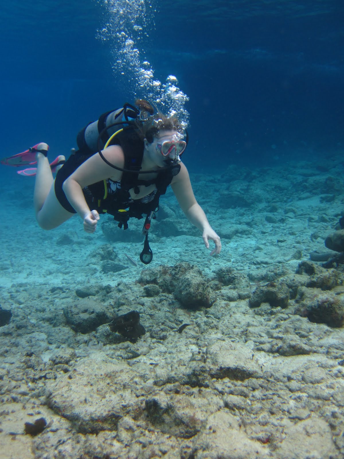 Jen's Updates Scuba Diving Cozumel