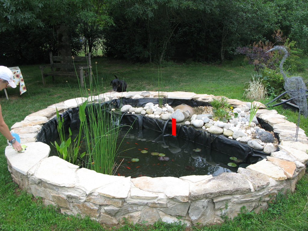 Foyt The pond water level