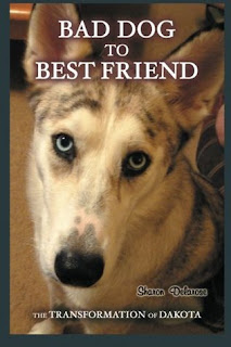 Bad-dog-to-best-friend-book