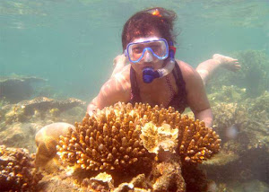 snorkling di pulau tidung